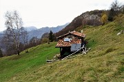 77 Baita-Casera Alpe Foldone (1449 m)